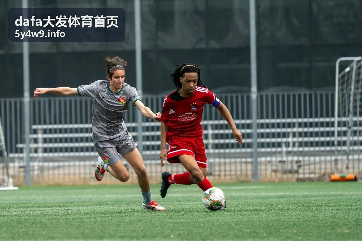 dafa大发体育客户端下载指南